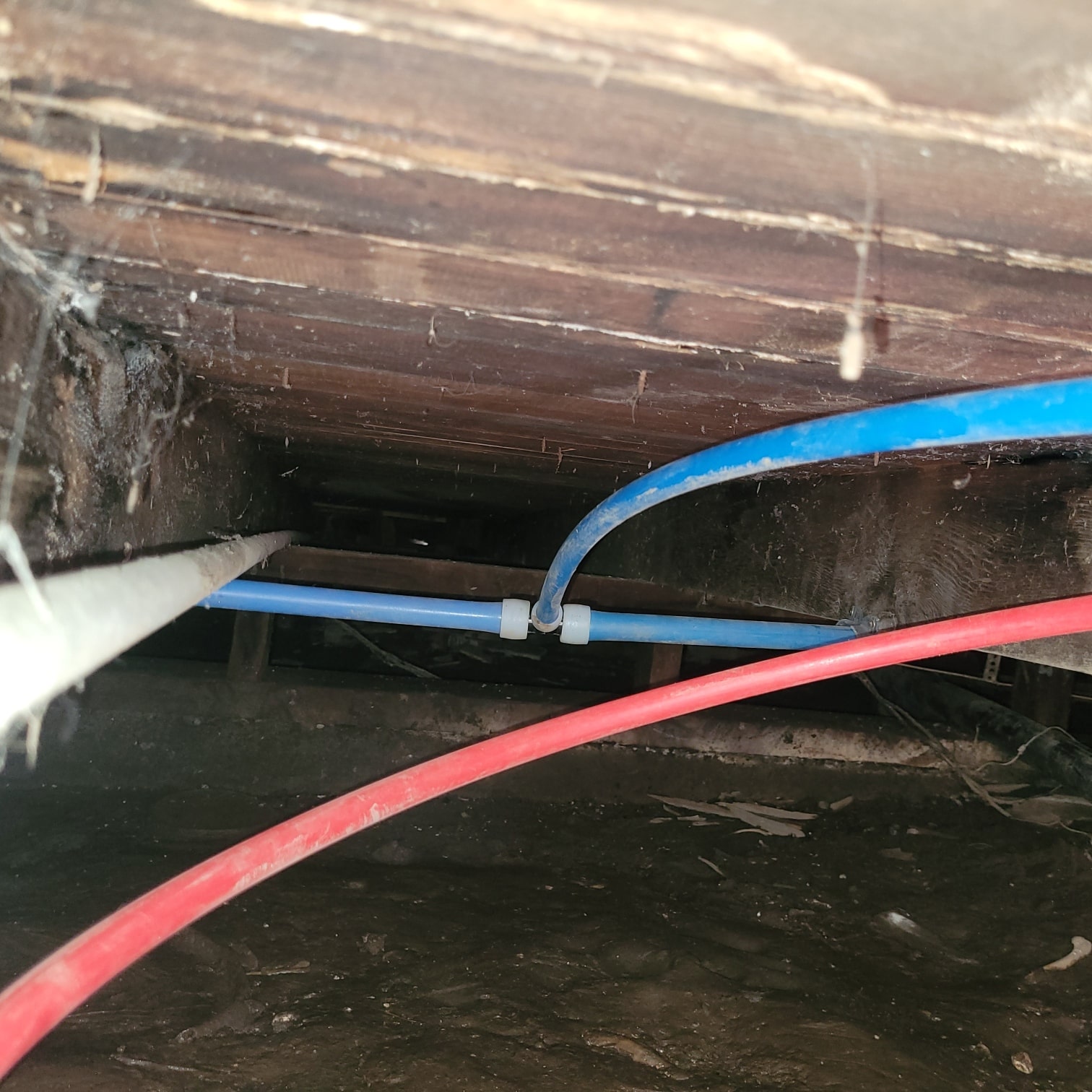 Pex Repipe