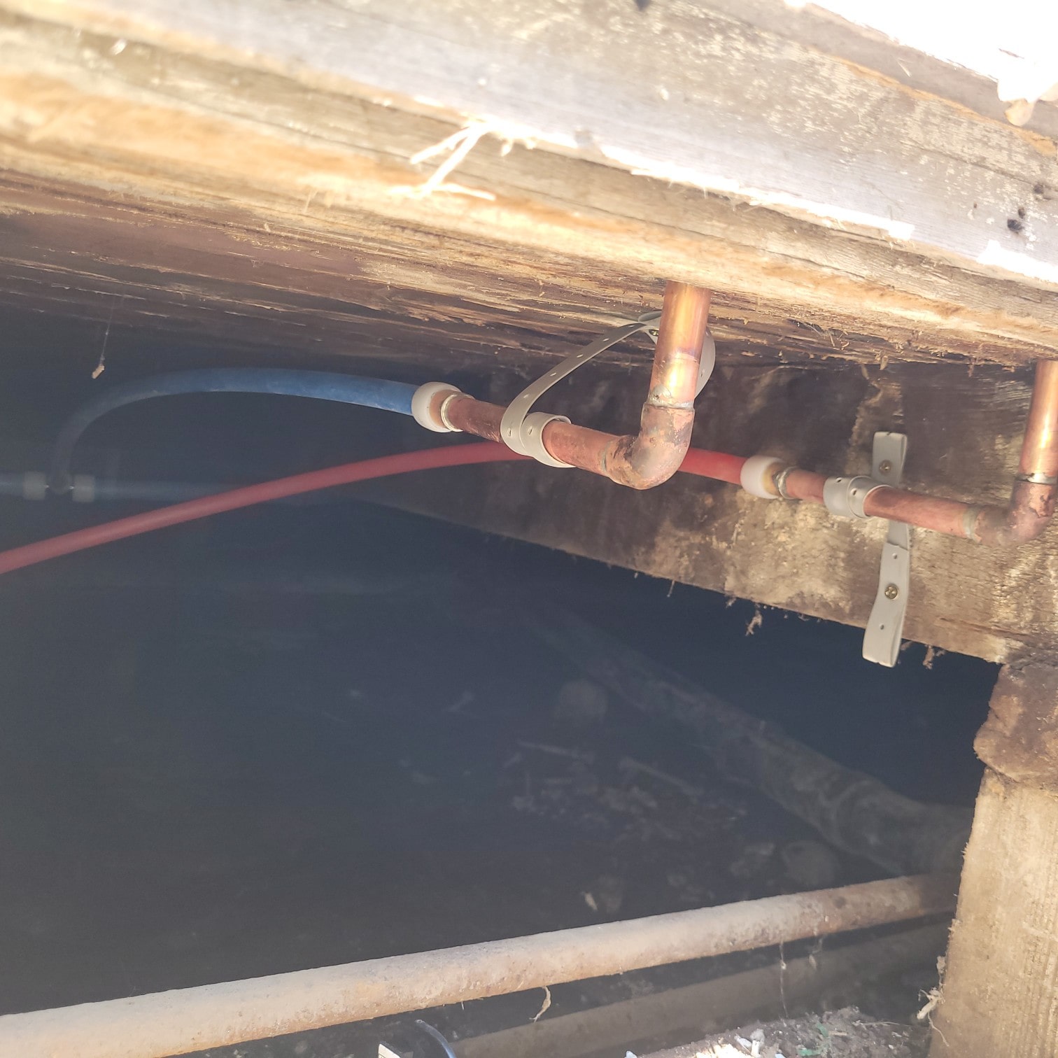 Pex Repipe